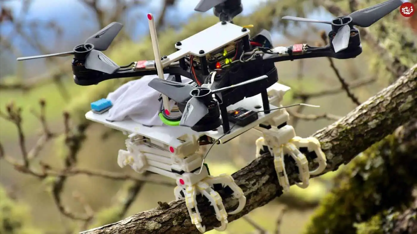 تصاویر؛ معرفی پهپادهایی که با الهام از طبیعت ساخته شده اند