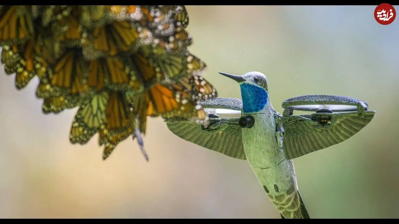 تصاویر؛ معرفی پهپادهایی که با الهام از طبیعت ساخته شده اند
