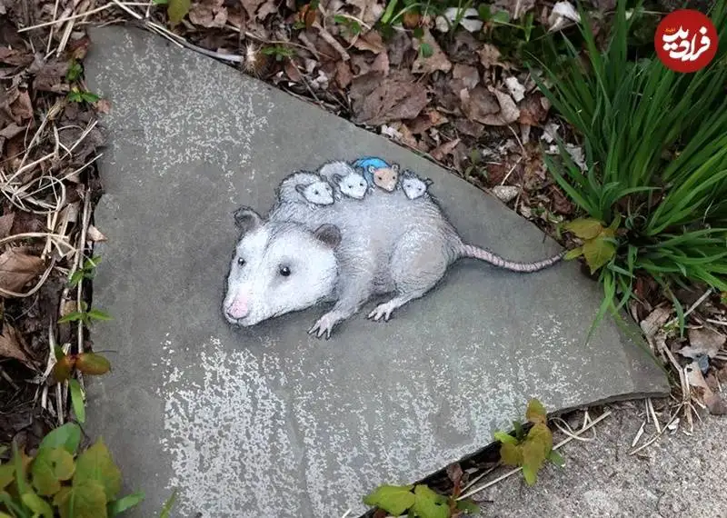 تصاویر؛ هنر خیابانی؛ تازه ترین شاهکارهای بامزۀ هنرمندی که موجودات خیالی را به خیابان می آورد