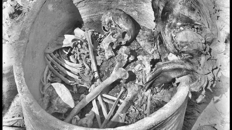 عکس؛ اسکلت 4500 ساله، داستان تازه ای از مصر باستان روایت می کند