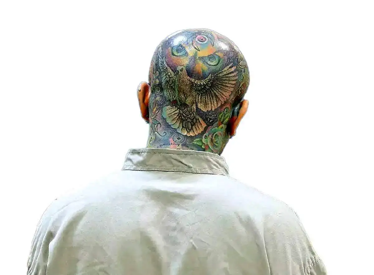 امیر تتلو؛ خبرسازترین پرونده این روزهای محاکم ایران 