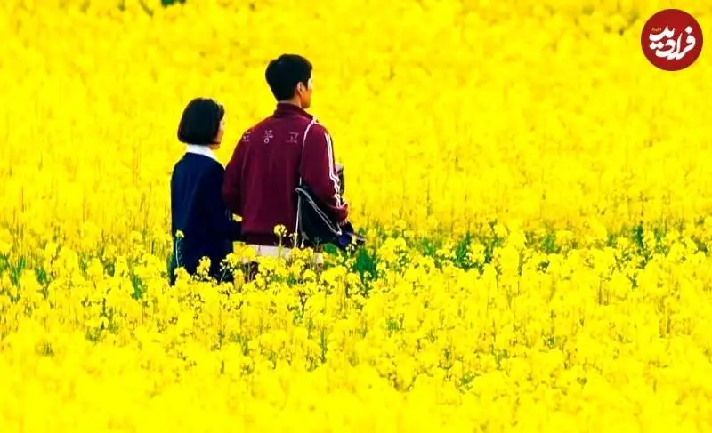 بهترین سریال های کره ای سال 2025 تا امروز