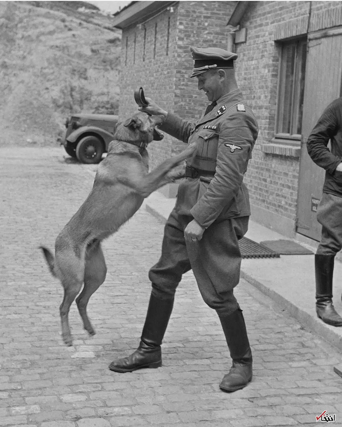 عکس؛ سفر در زمان؛ سگ قدرتمند ارتش هیتلر