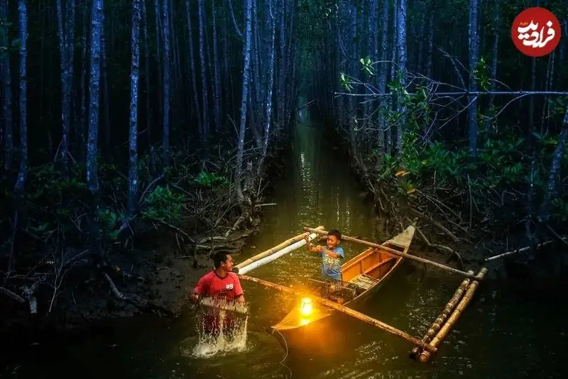 تصاویر؛ شاهکارهای عکاسی از «مانگرو» که در سال 2025 برندۀ جایزه شدند