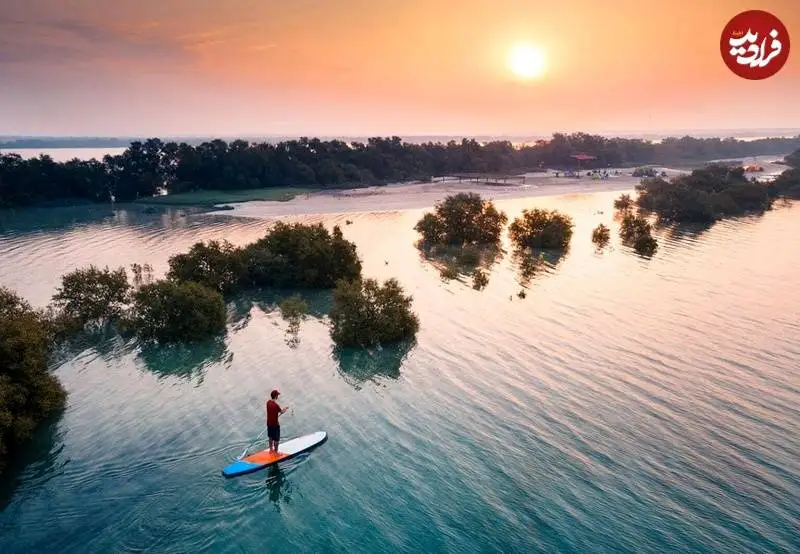 تصاویر؛ شاهکارهای عکاسی از «مانگرو» که در سال 2025 برندۀ جایزه شدند