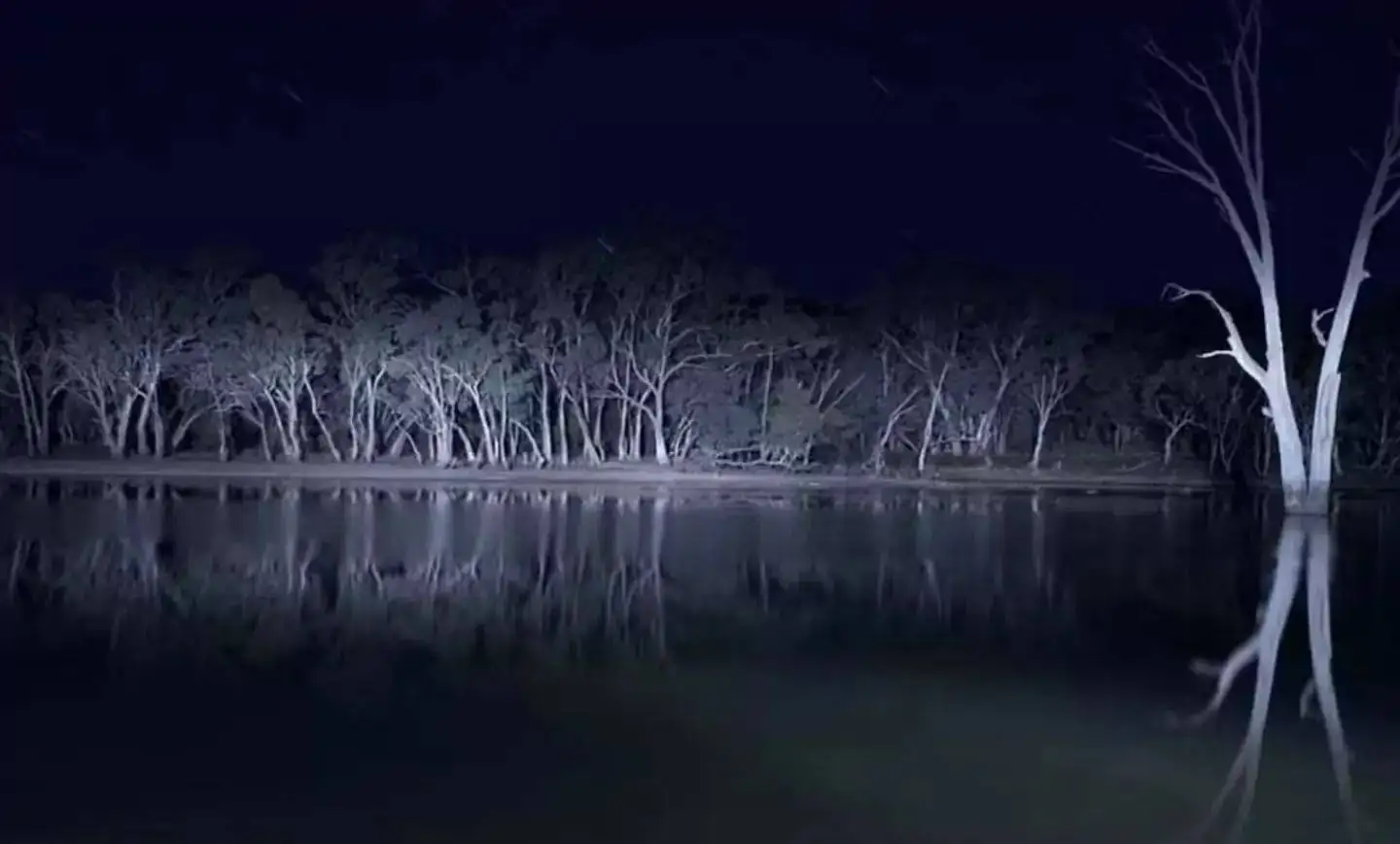 تصاویر؛ 10 فیلم ژانر وحشت که پایان فاجعه باری دارند