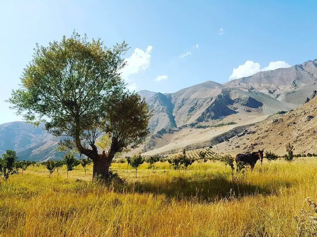 تصاویر؛ ماجراجویی تابستانی در یک قدمی پایتخت؛ معرفی 5 مقصد بکر اطراف تهران