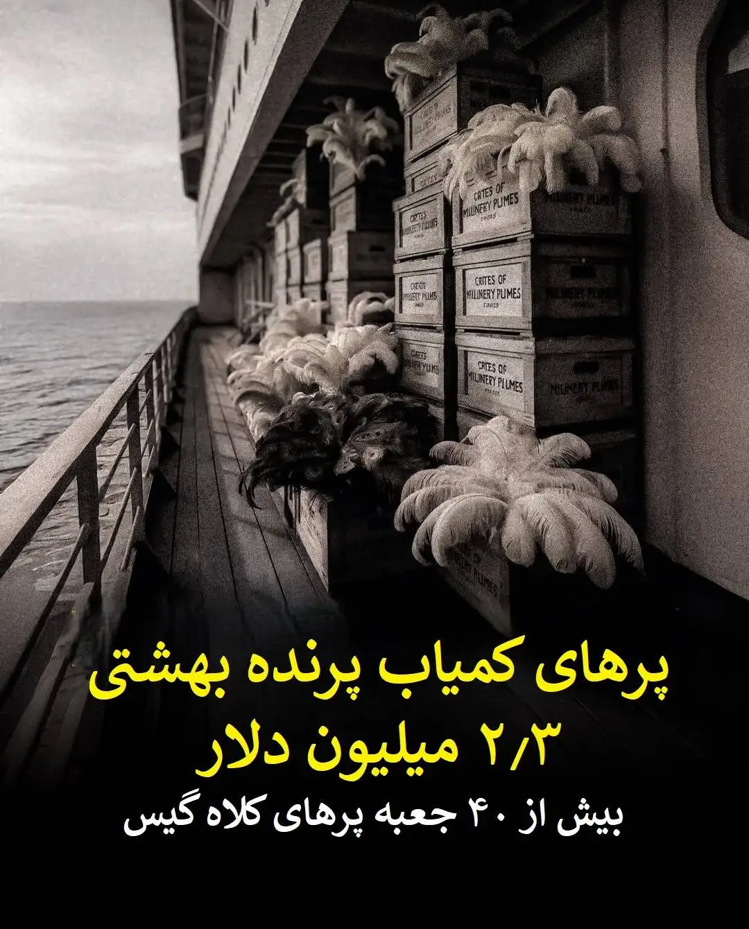 رازهای پنهان کشتی تایتانیک که هرگز نشنیده اید!