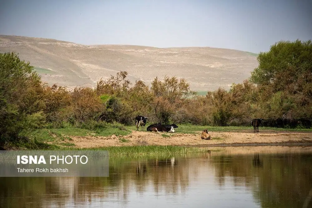 تصاویر؛ شهر دوچرخه ایران را ببینید