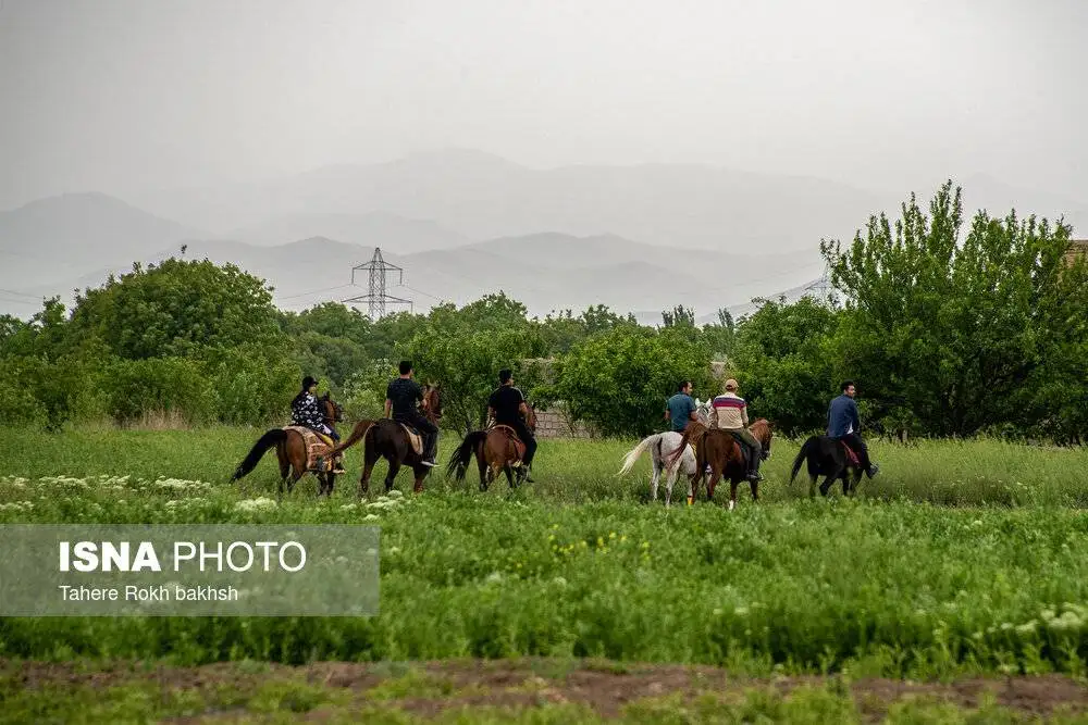 تصاویر؛ شهر دوچرخه ایران را ببینید