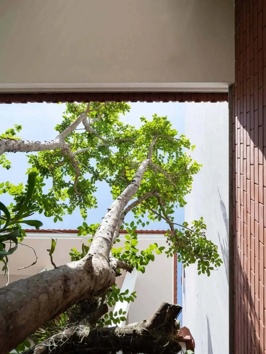 تصاویر؛ زیبایی و خلاقیت معماری ببینیم