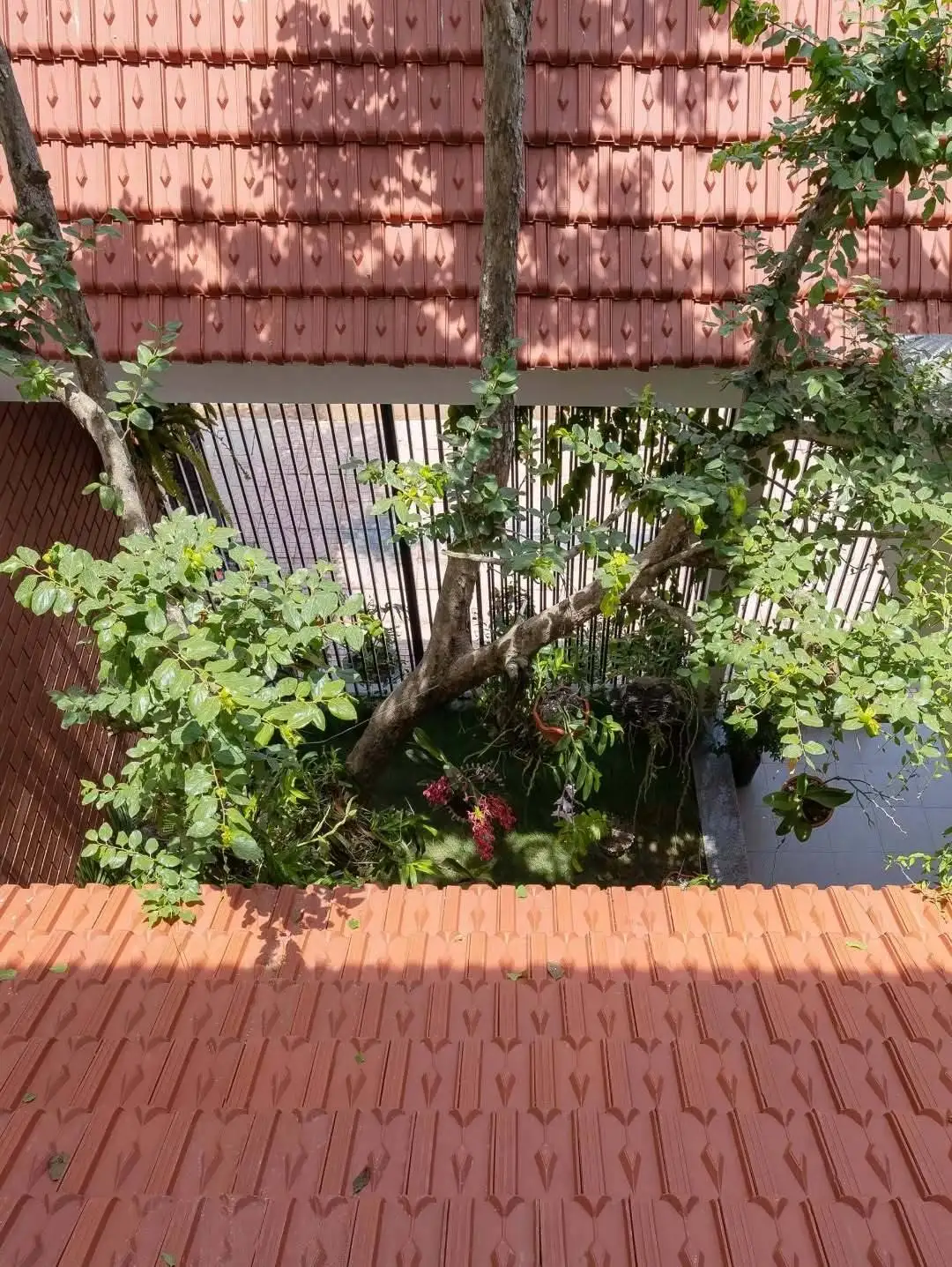 تصاویر؛ زیبایی و خلاقیت معماری ببینیم