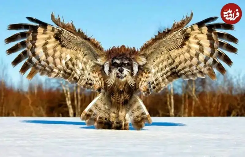 تصاویر؛ جانوران خیالی «دورگه» که هنرمند آمریکایی خلق کرده است