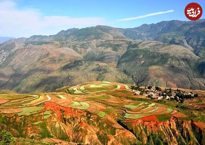 چشم انداز شگفت انگیز مزارع سبز روی خاک سرخ
