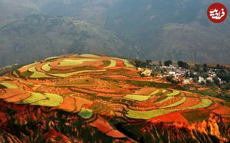چشم انداز شگفت انگیز مزارع سبز روی خاک سرخ