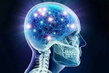 این غذاها سبب ابتلا به پارکینسون می شوند