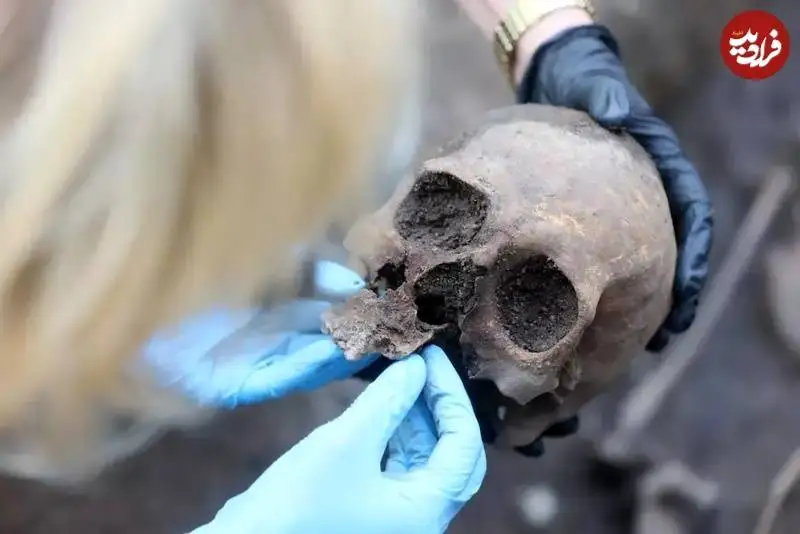 یک «شوالیه» بعد از 700 سال از زیر «بستنی فروشی» بیرون آمد