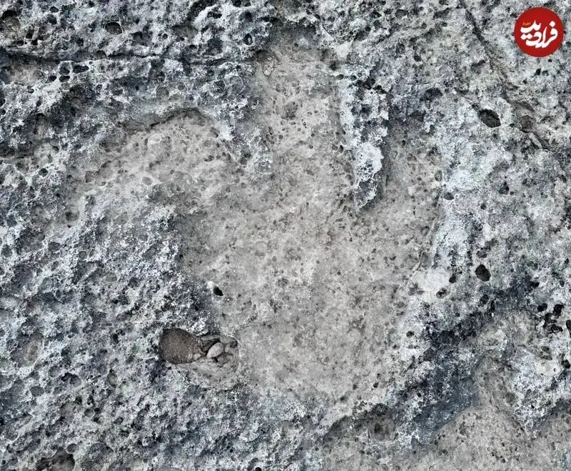 ردپای هیولاهای گوشتخوار 115 میلیون ساله در اثر سیلاب از زیر خاک بیرون آمد