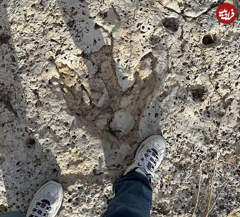 ردپای هیولاهای گوشتخوار 115 میلیون ساله در اثر سیلاب از زیر خاک بیرون آمد