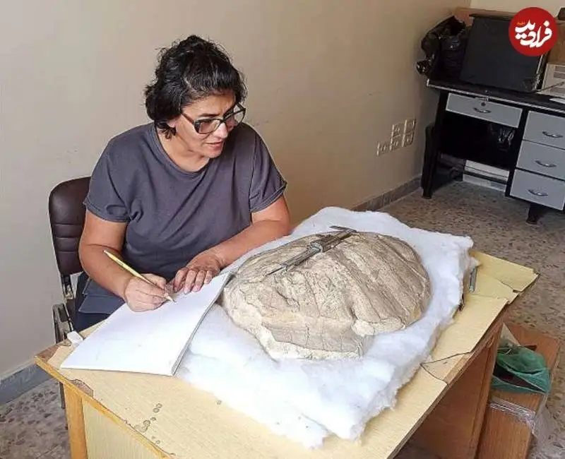 این لاک پشت در دورانی زندگی می کرد که سوریه «دریا» بود