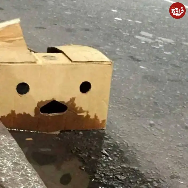 تصاویر؛ «چهره هایی» که در اشیاء معمولی پنهان شده اند 