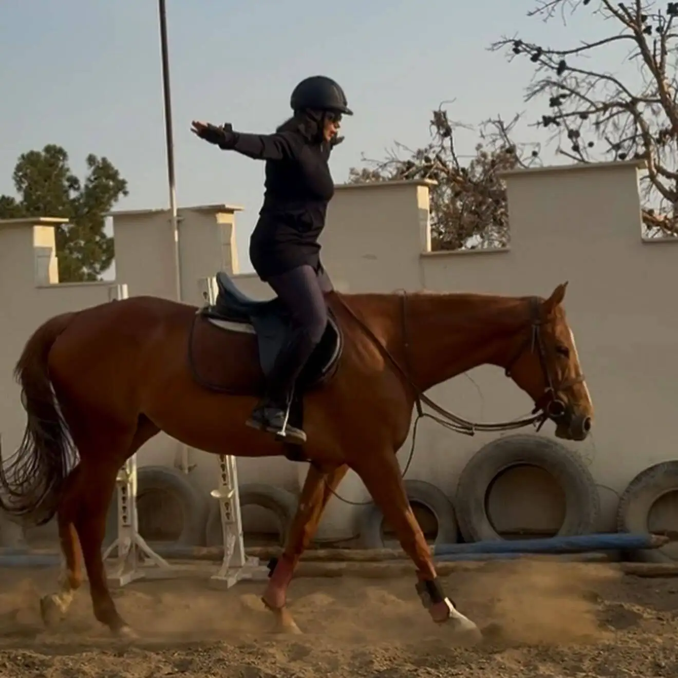 تصاویر؛ الهام پاوه نژاد با استایل متفاوت اسب سواری؛ «دلتنگ شاینی شدم»