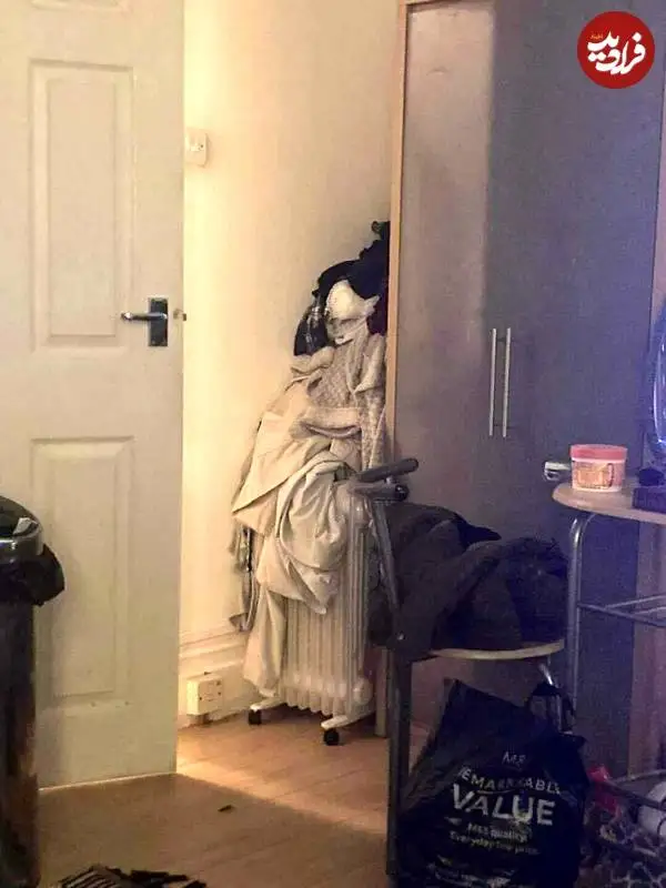 تصاویر؛ «چهره هایی» که در اشیاء معمولی پنهان شده اند 