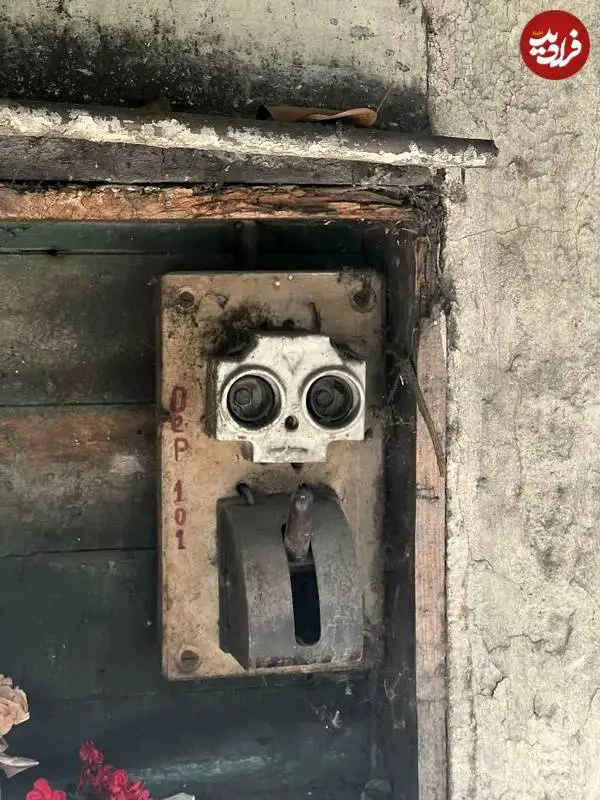 تصاویر؛ «چهره هایی» که در اشیاء معمولی پنهان شده اند 