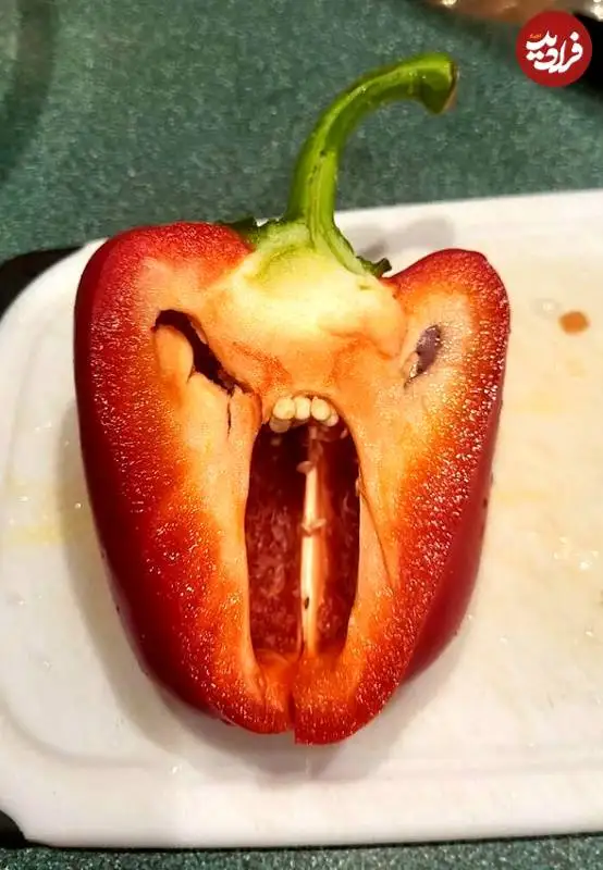 تصاویر؛ «چهره هایی» که در اشیاء معمولی پنهان شده اند 