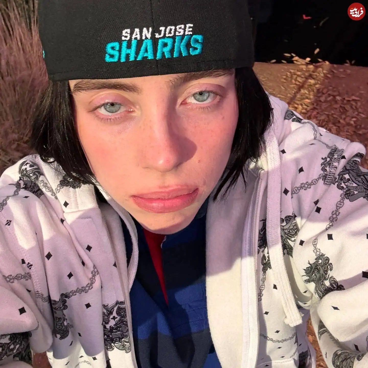 تصاویر؛ سفر در زمان؛ چهره «بیلی ایلیش، خواننده زن مشهور» در 24 سالگی