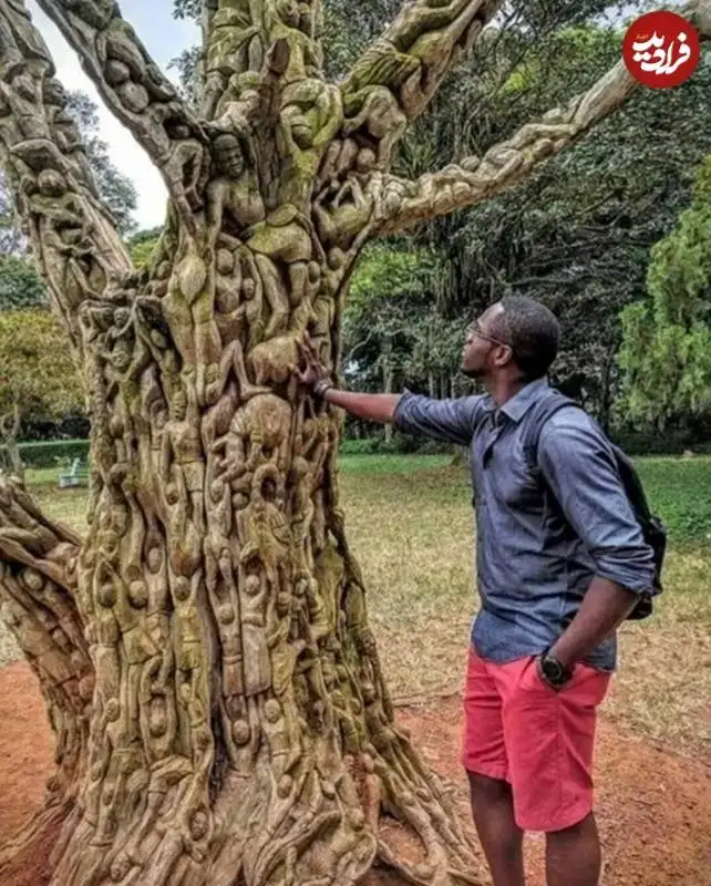 تصاویر؛ هنر خیابانی؛ وقتی «درختان» به شاهکارهای هنری تبدیل می شوند