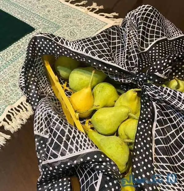 چهره های برتر در آخرین روز هفته / شیدا خلیق و مادرش، بارداری الهام طهموری، مهسا باقری در نمایش «کاتانا»، هومن حاجی عبدالهی و محمد حیدری در مرد عینکی، بهنوش طباطبایی در سووشون، سعید چنگیزیان با هدیه مادرش و محمد شهریاری در گیلان