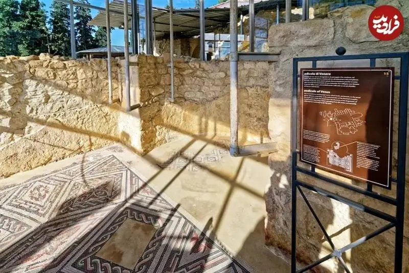 تصویر یک جفت «صندل» بعد از 1600 سال از زیر خاک بیرون آمد