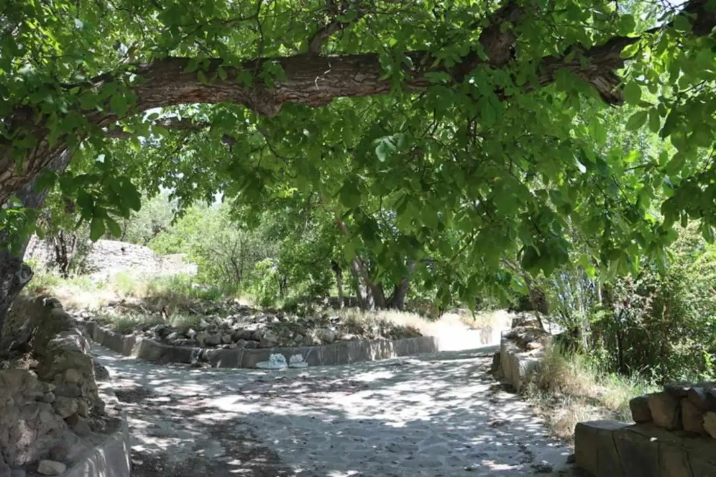 تصاویر؛ طبیعت روستای چاشم؛ مقصدی بکر و آرام در شمال شهمیرزاد