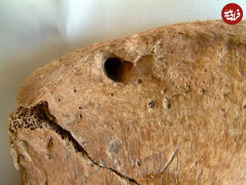 اکتشافات غیرمنتظرۀ باستان شناسی در سال 2025؛ از «جای گاز شیر» تا «رد فرغون باستانی»