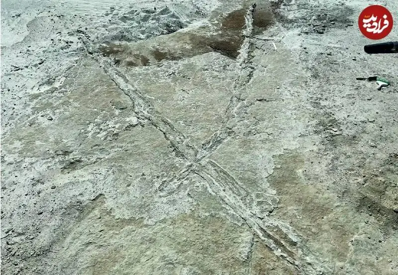 اکتشافات غیرمنتظرۀ باستان شناسی در سال 2025؛ از «جای گاز شیر» تا «رد فرغون باستانی»