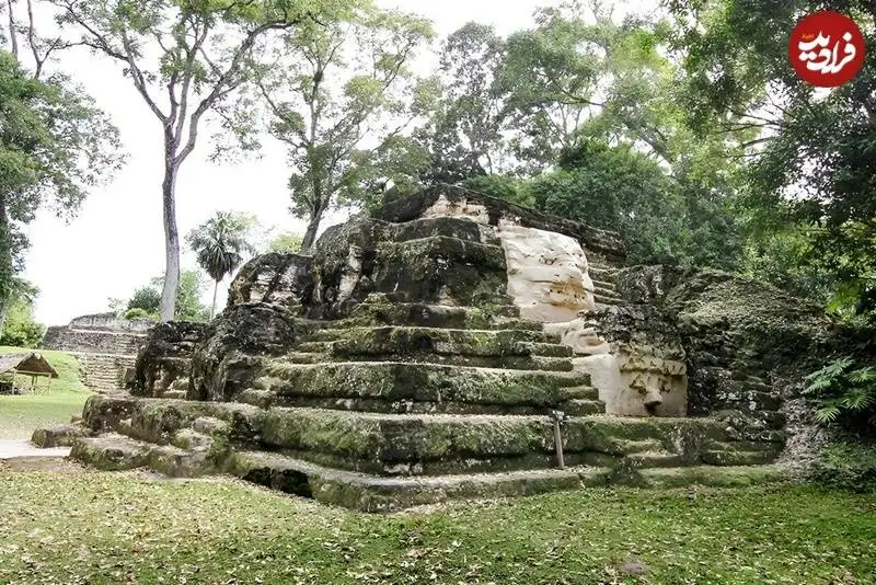 اکتشافات غیرمنتظرۀ باستان شناسی در سال 2025؛ از «جای گاز شیر» تا «رد فرغون باستانی»
