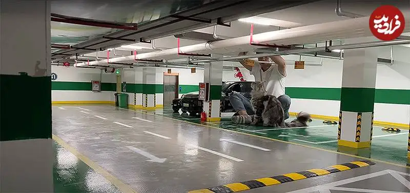 تصاویر؛ مرد چینی برای «گربه هایش» یک «مترو» واقعی ساخت