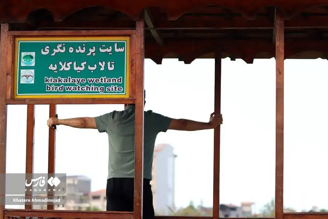 تصاویر؛ کیاکلایه بهشت «پرنده نگری» در قلب گیلان