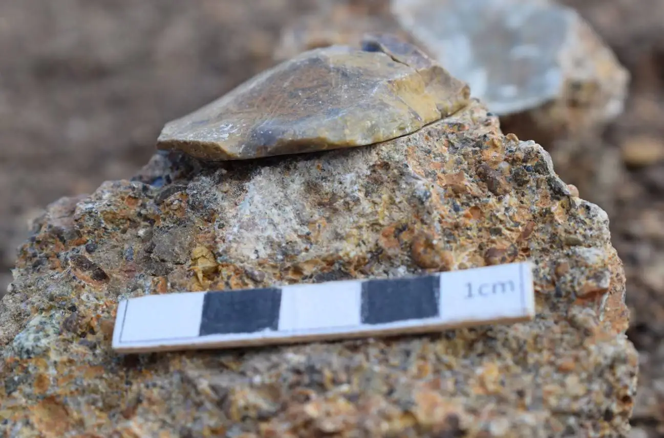 کشف ابزار «یک و نیم میلیون  ساله» که شاید «هابیت ها» آن ها را ساخته باشند