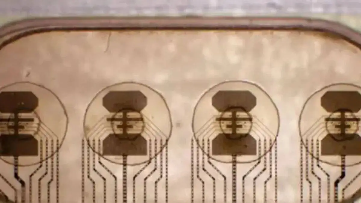 آیا کامپیوترها زنده خواهند شد؟