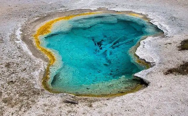 ادعای جدید یک دانشمند: «حیات روی کره زمین نه اتفاقی بلکه مهندسی شده است!»