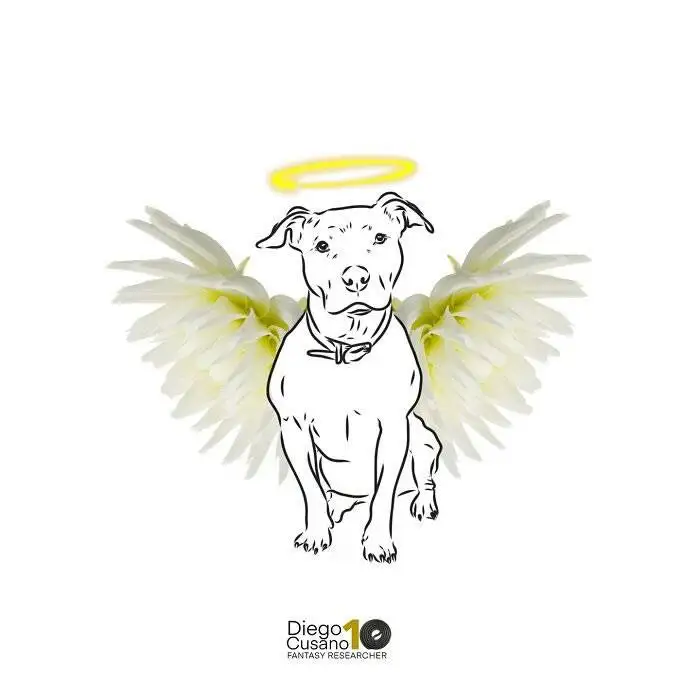 تصاویر؛ خلاقیت استثنایی هنرمند ایتالیایی که «کروسان» را به «شتر» تبدیل می کند