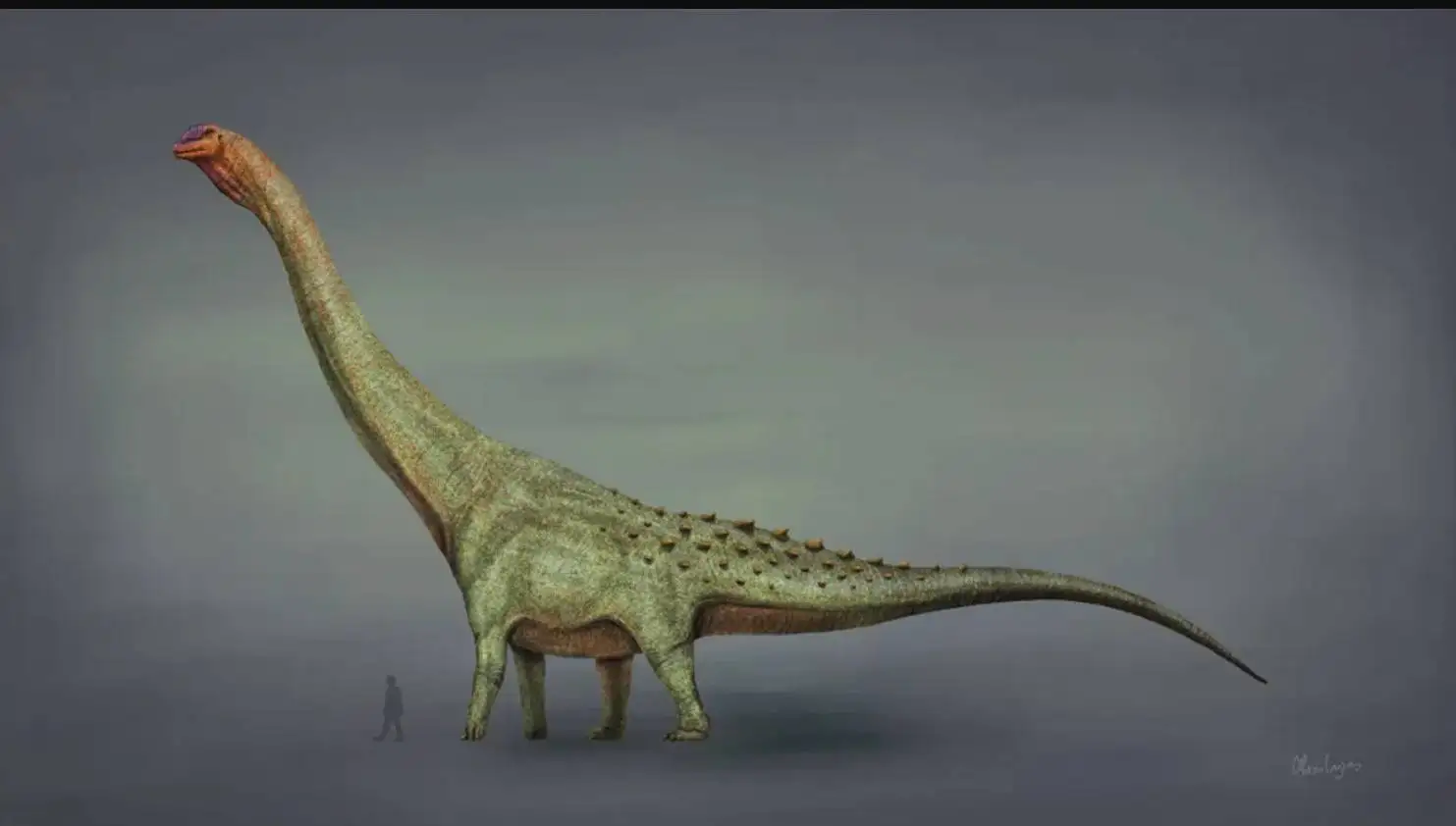 دایناسورها چند سال عمر می کردند؟ 