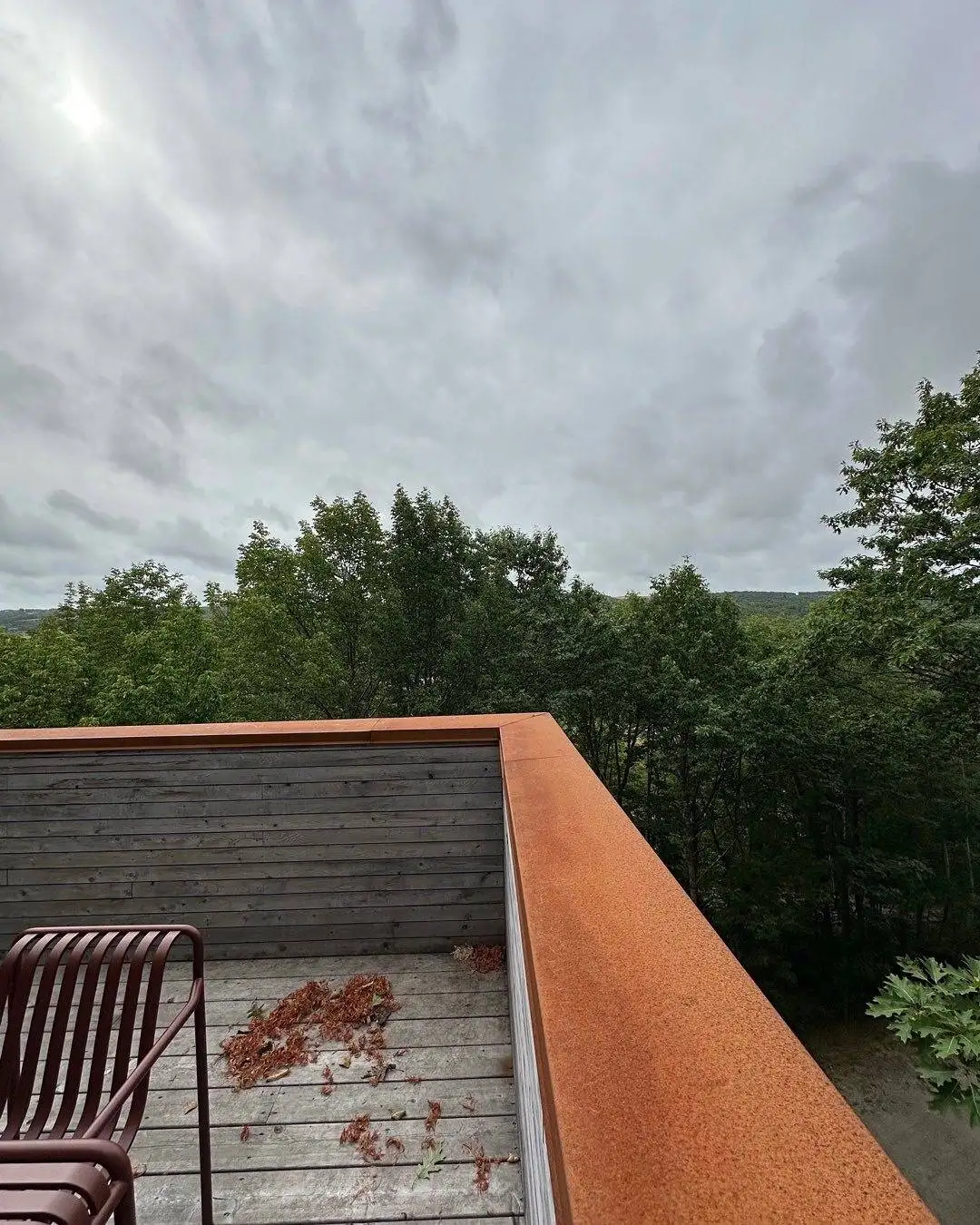 تصاویر| تجربه ای متفاوت از معماری؛ کلبه ای در جنگل های بلوط کانادا 