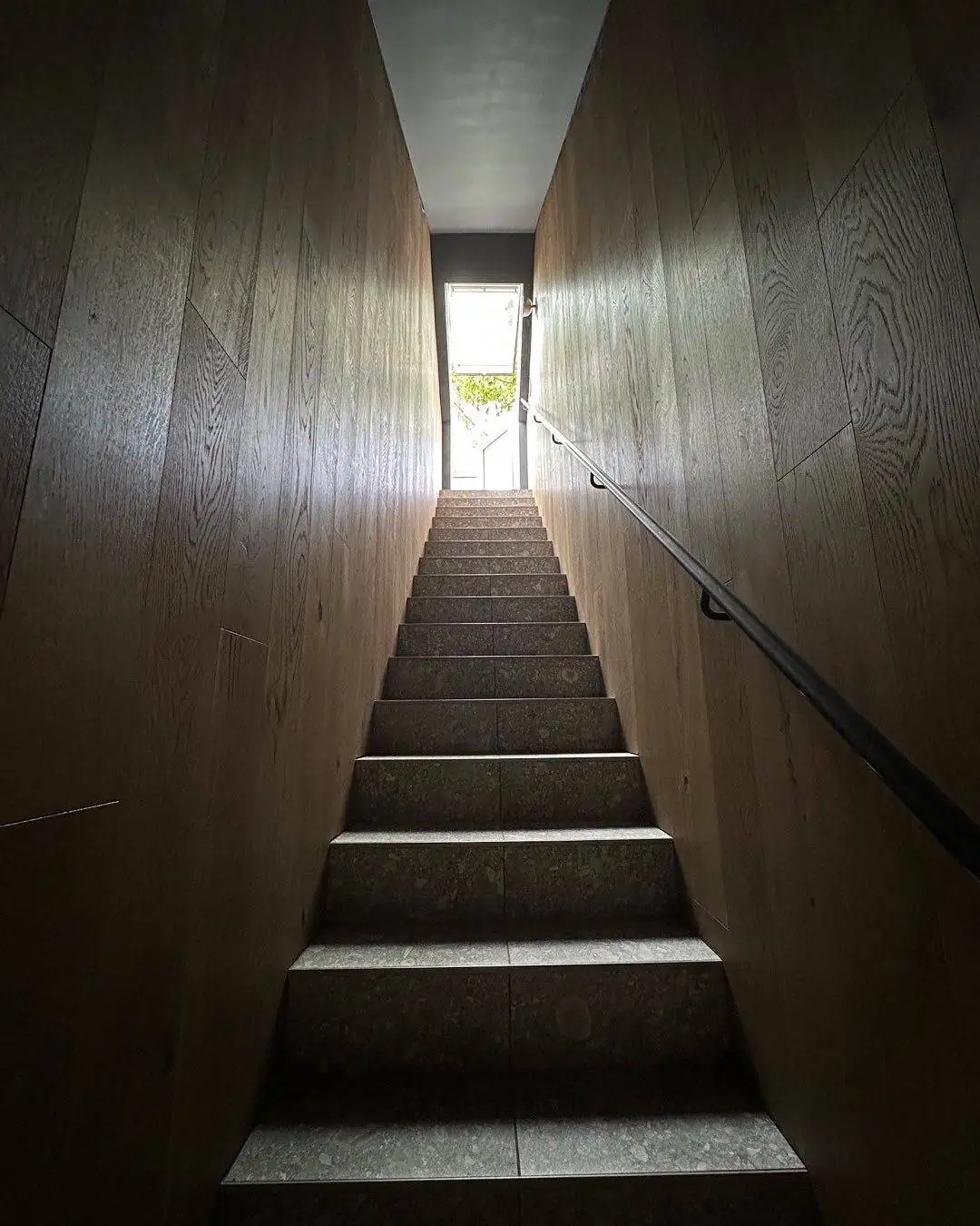 تصاویر| تجربه ای متفاوت از معماری؛ کلبه ای در جنگل های بلوط کانادا 