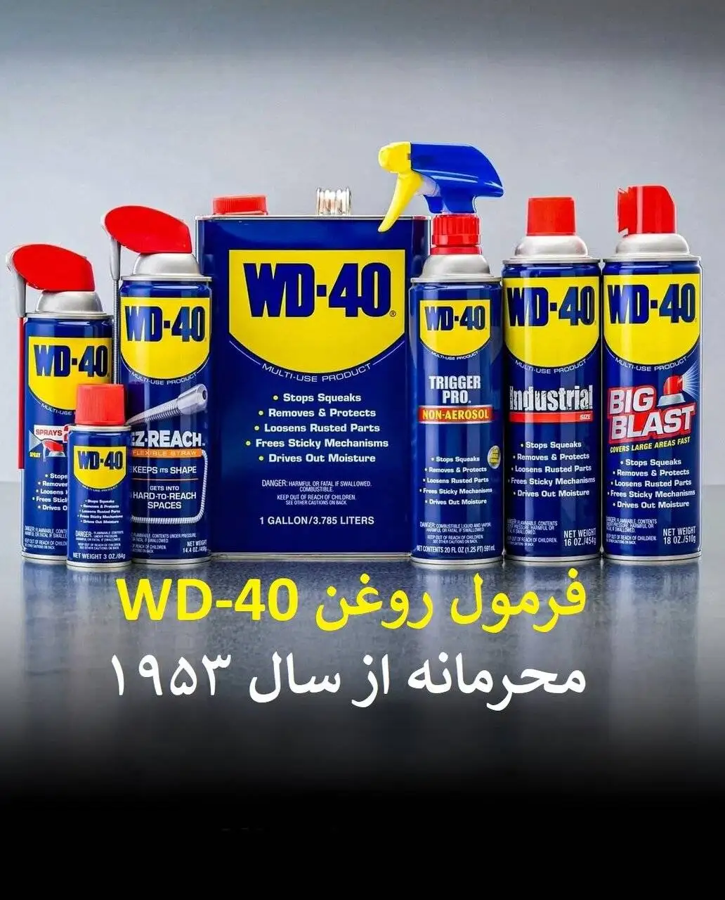 تصاویر| اسرار محرمانه تاریخ؛ از هواپیمای جاسوسی تا یک تکه مرغ سوخاری!