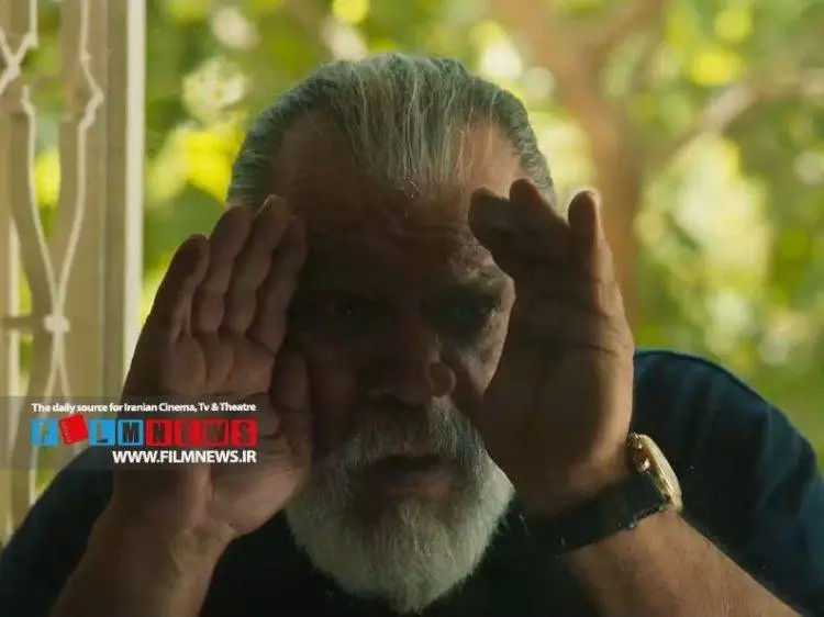 آنالیز اکران سینماها در نیمه اول سال 1404؛ احیای سینمای اجتماعی با «پیر پسر» و «زن و بچه»