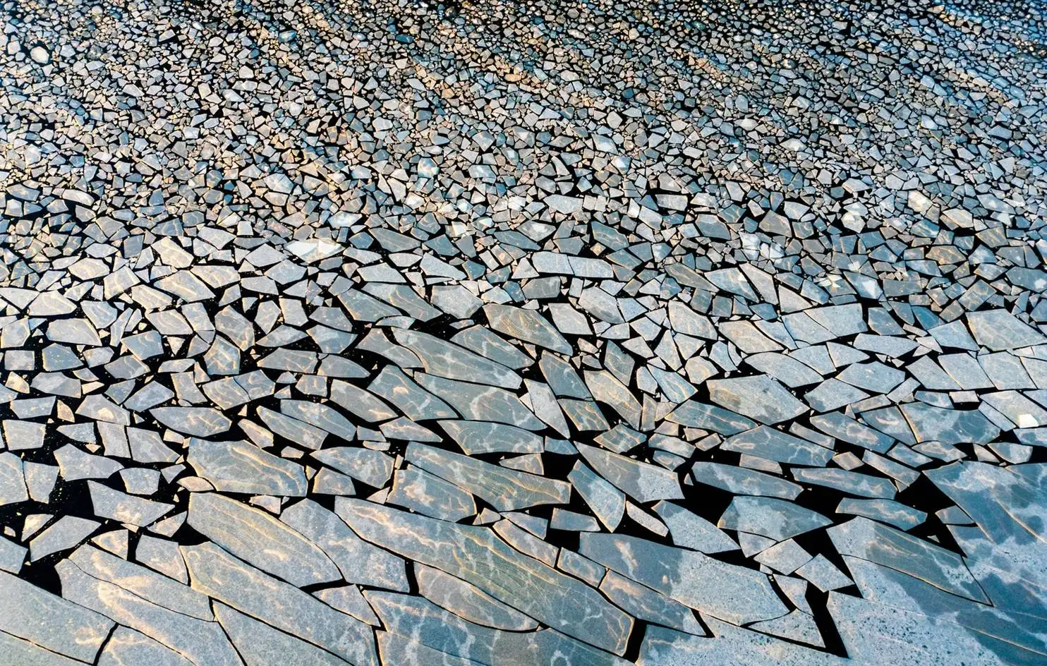 تصاویر؛ شاهکارهای عکاسی طبیعت در سال 2025 که از بین 11 هزار عکس انتخاب شده اند