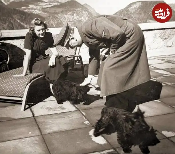 عکس| سفر در زمان؛ «هیتلر» و معشوقه اش در حال بازی با دو سگ خانگی؛ سال 1320